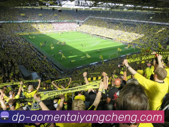 澳门太阳城APP 高清赛事图